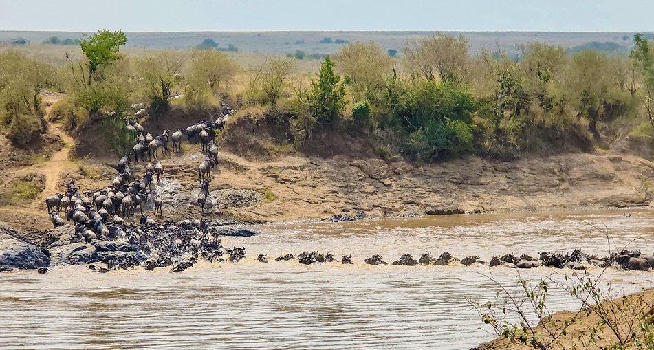 Masai Mara National Reserve