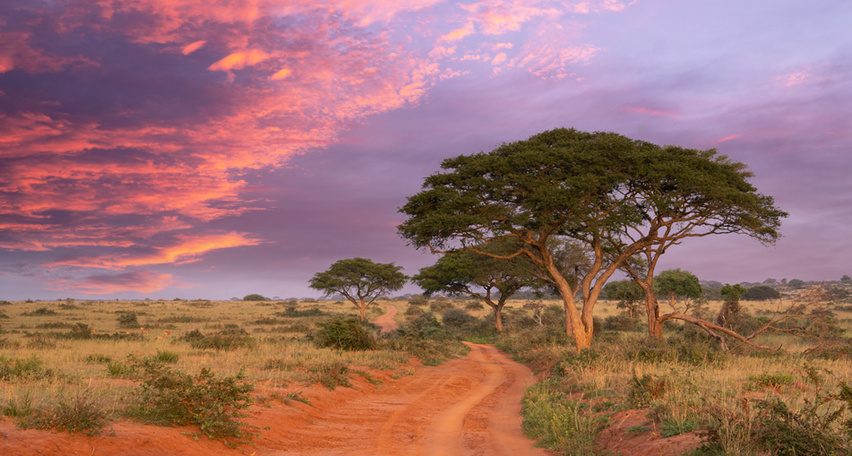 Tsavo East National Park