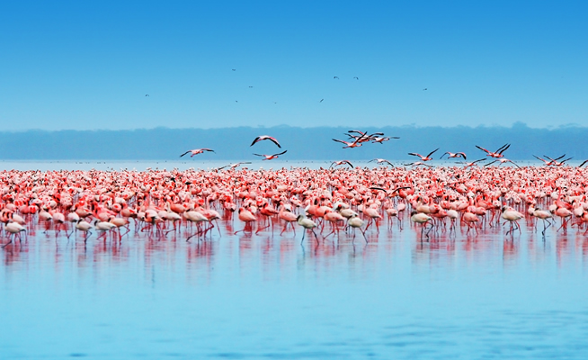 Lake Nakuru National Park