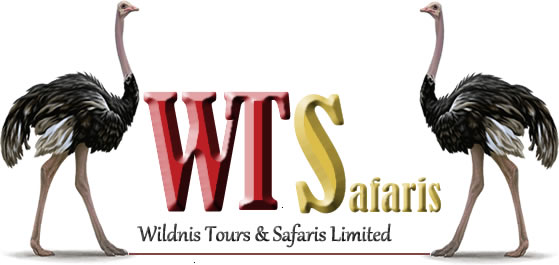 WT Safaris Limited
