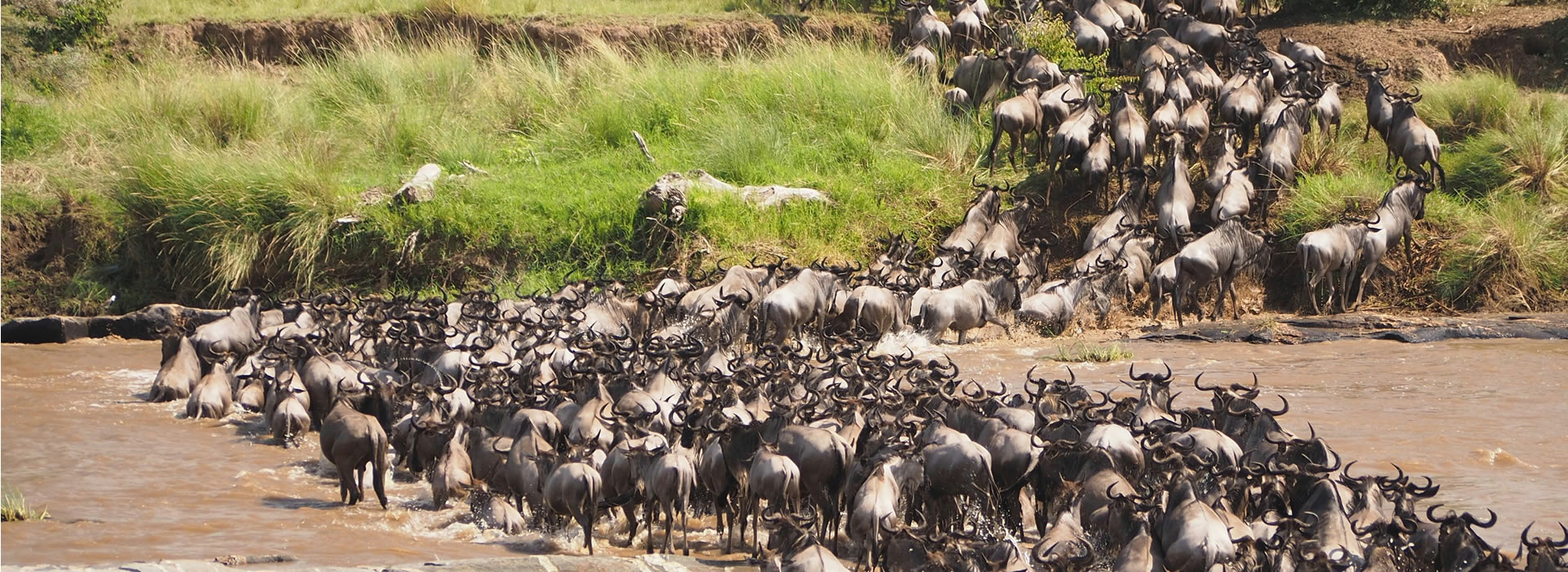 Masai Mara National Reserve