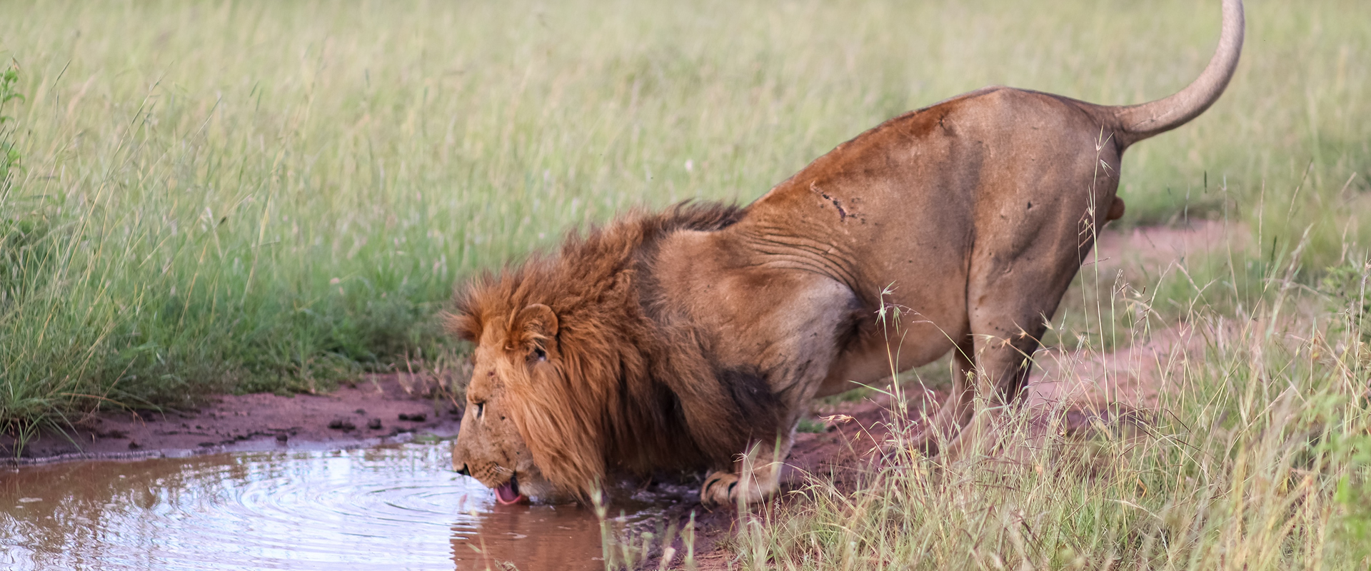 Mombasa – Tsavo East National Park