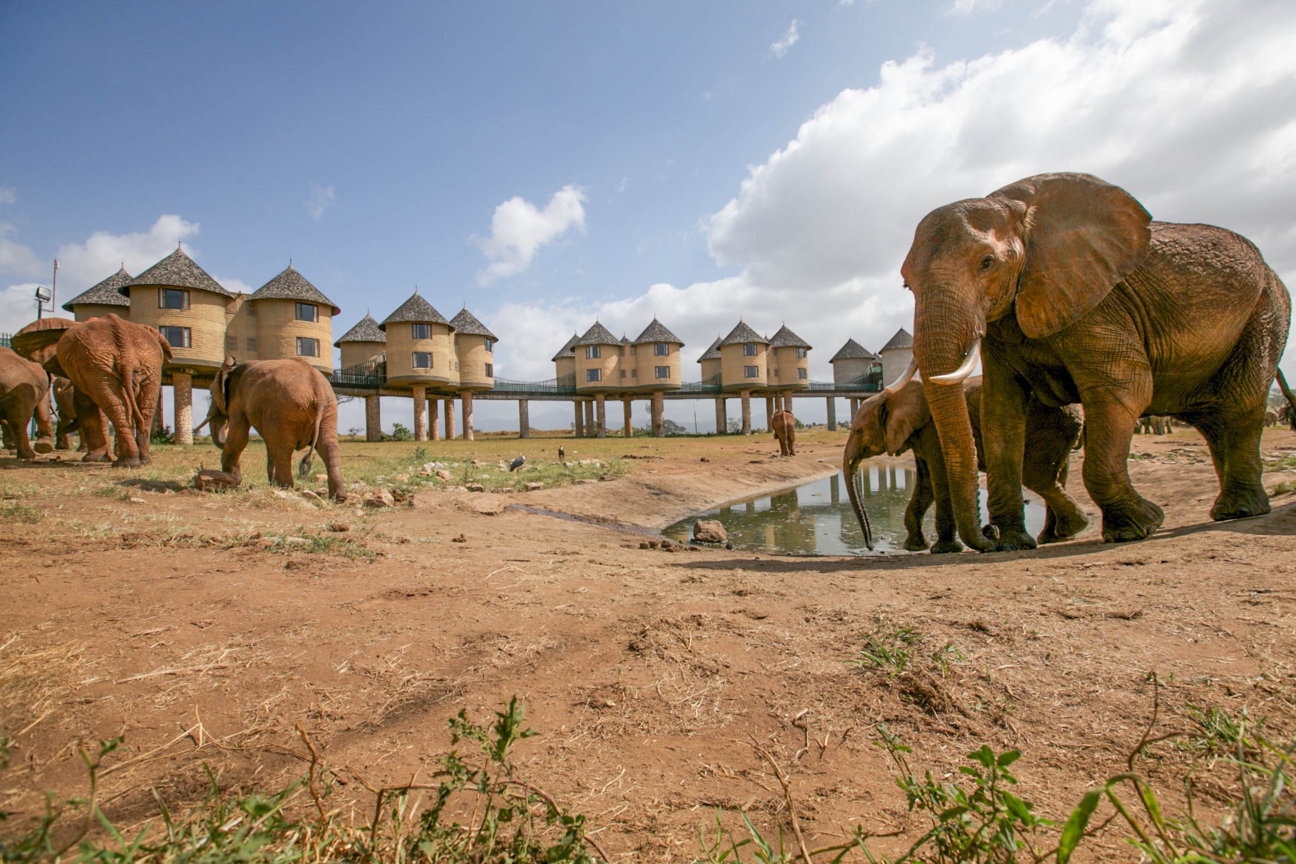 Day 2 - Tsavo East – Taita Hills / LUMO Wildlife Sanctuary
