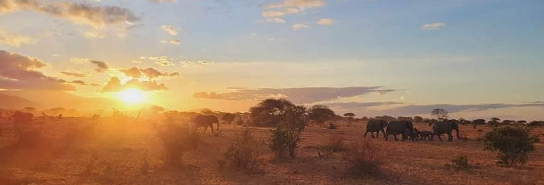 Day 1 - Mombasa – Tsavo West National Park