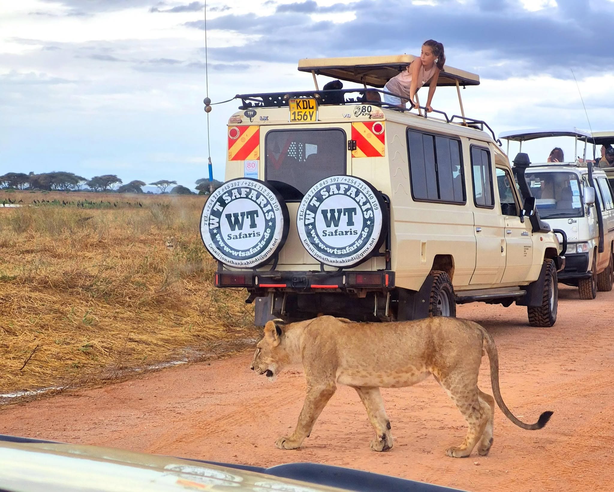 Day 3 - Amboseli – Tsavo East National Park