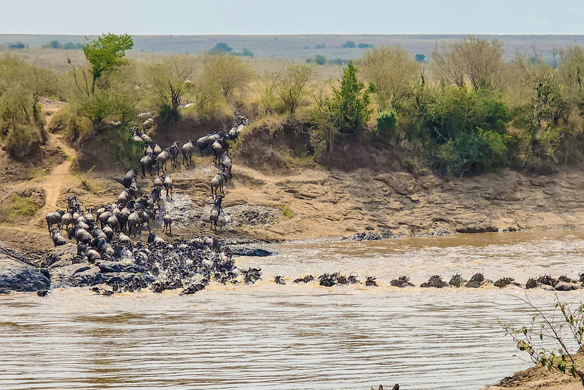 Masai Mara