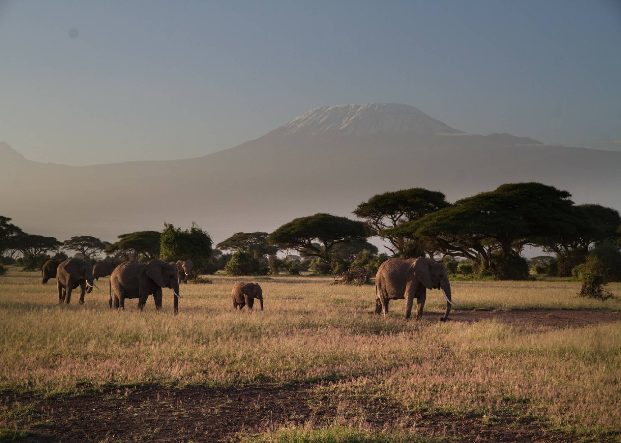 Day 2 - Tsavo East – Tsavo West National Park