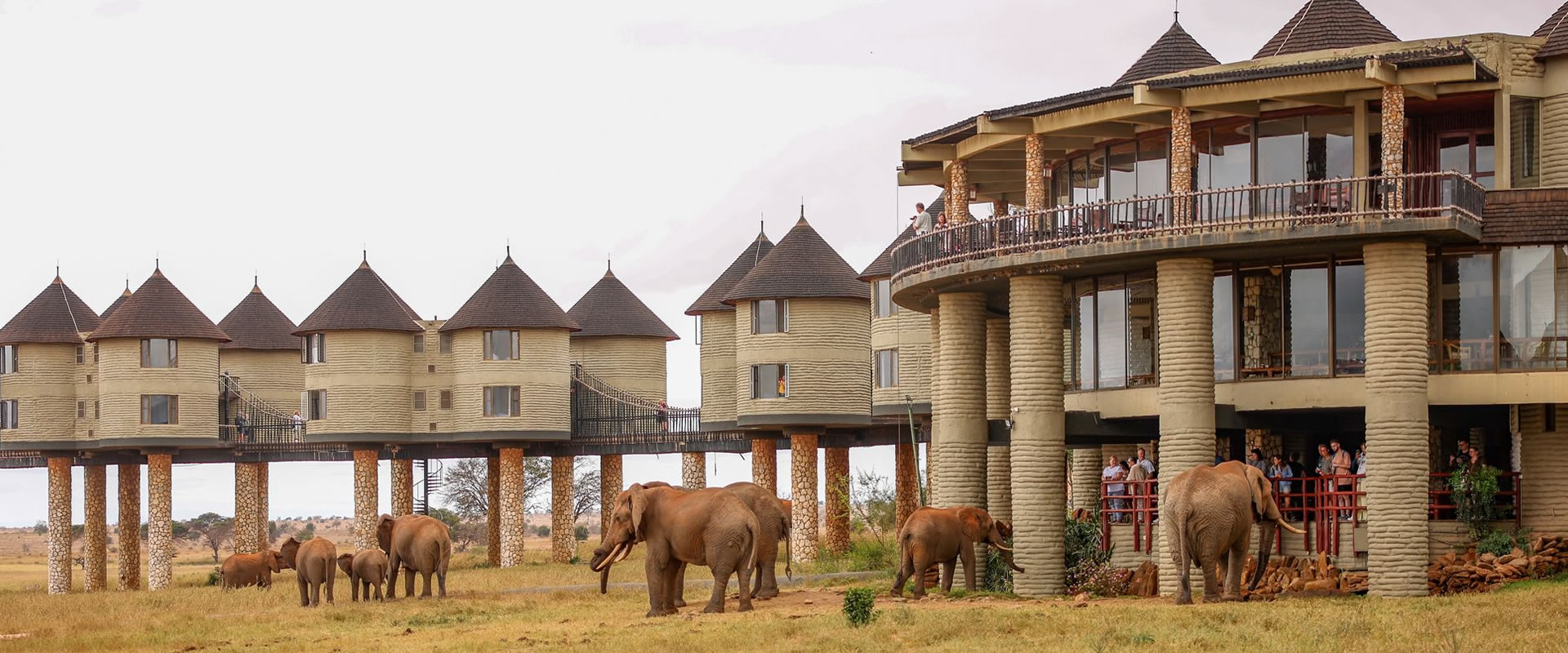 Day 5 - Taita Hills – Mombasa