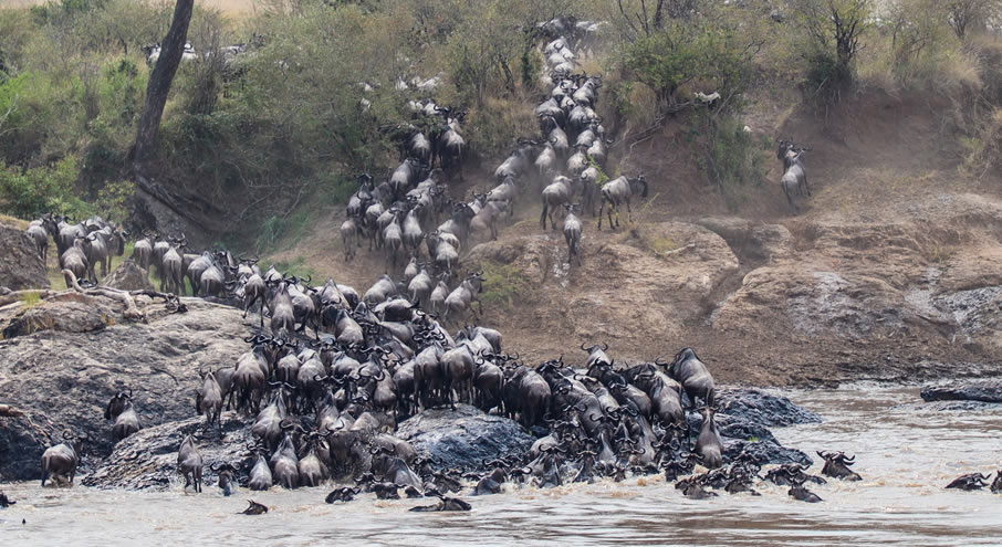 Masai Mara National Reserve
