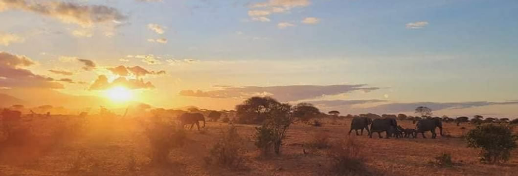 Amboseli – Lake Nakuru National Park