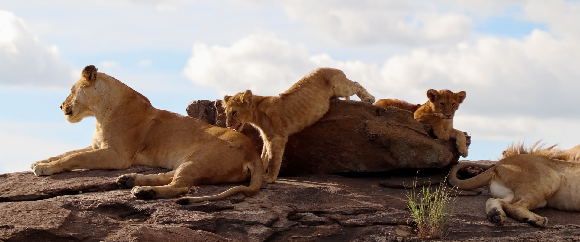 3 Days Tsavo East & Amboseli Safari