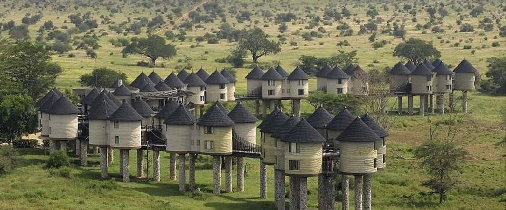4 Days Tsavo West, Amboseli & Salt Lick