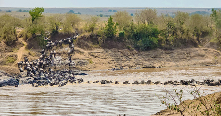 5 Days Combination Air Safari